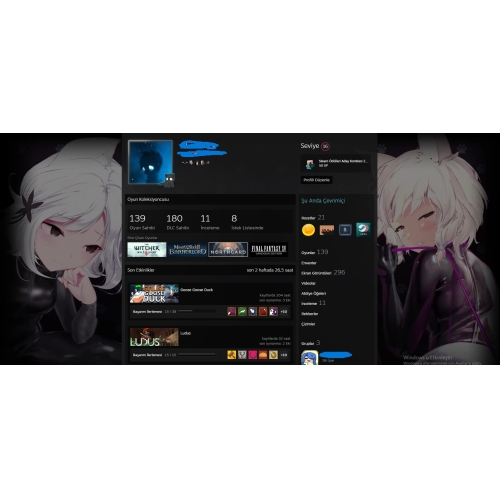  400 Dolar Değerinde Steam Hesabı